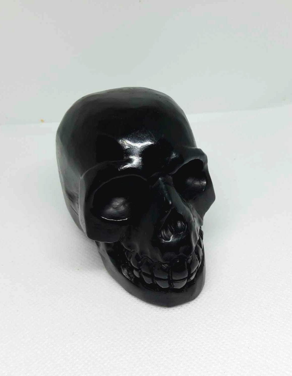 Shungite Skull