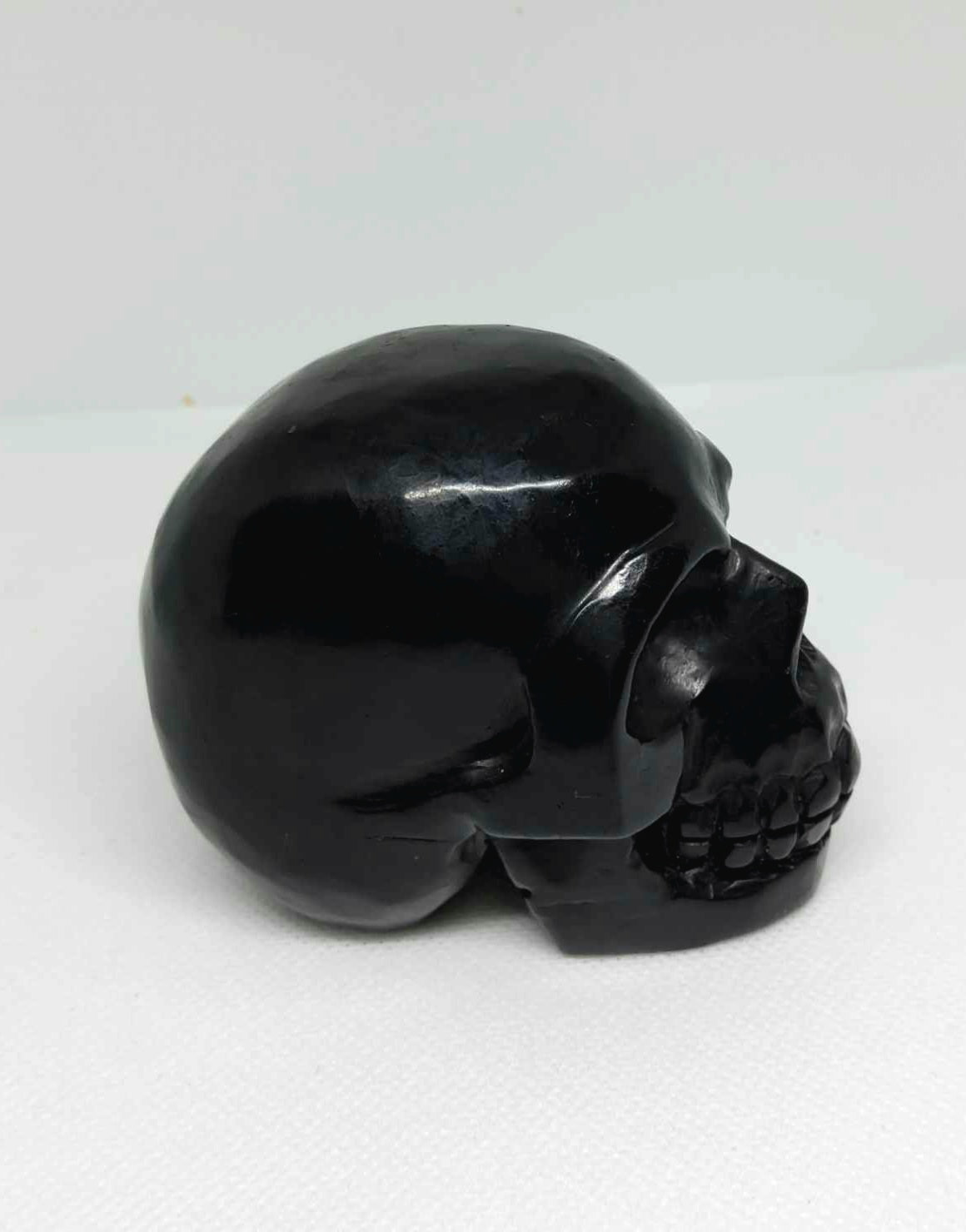 Shungite Skull