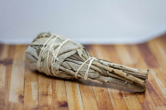 Small Sage Bundle