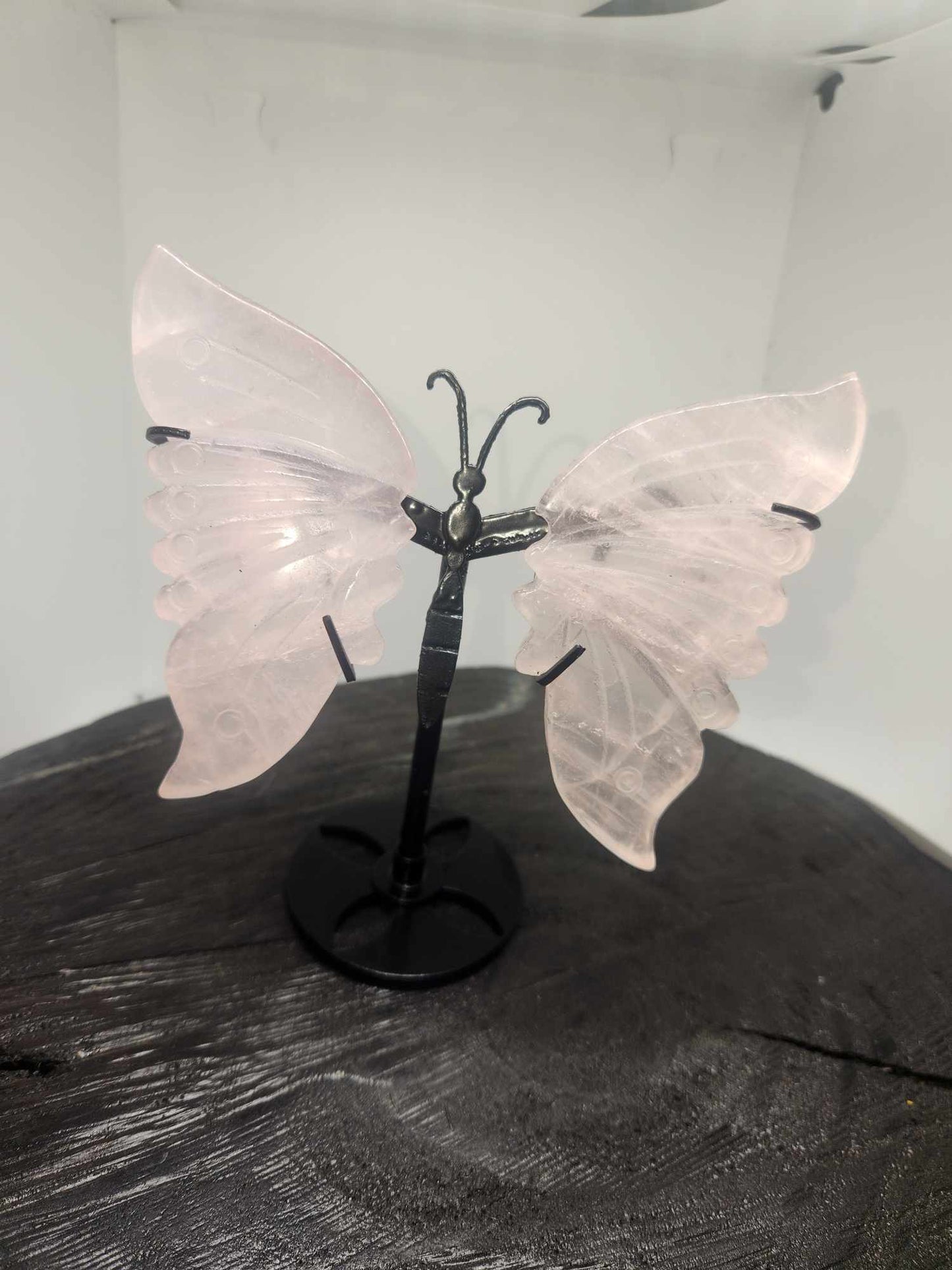 Butterfly Wings on stand
