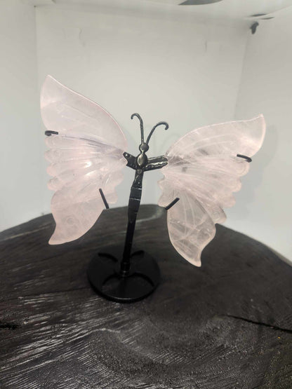 Butterfly Wings on stand