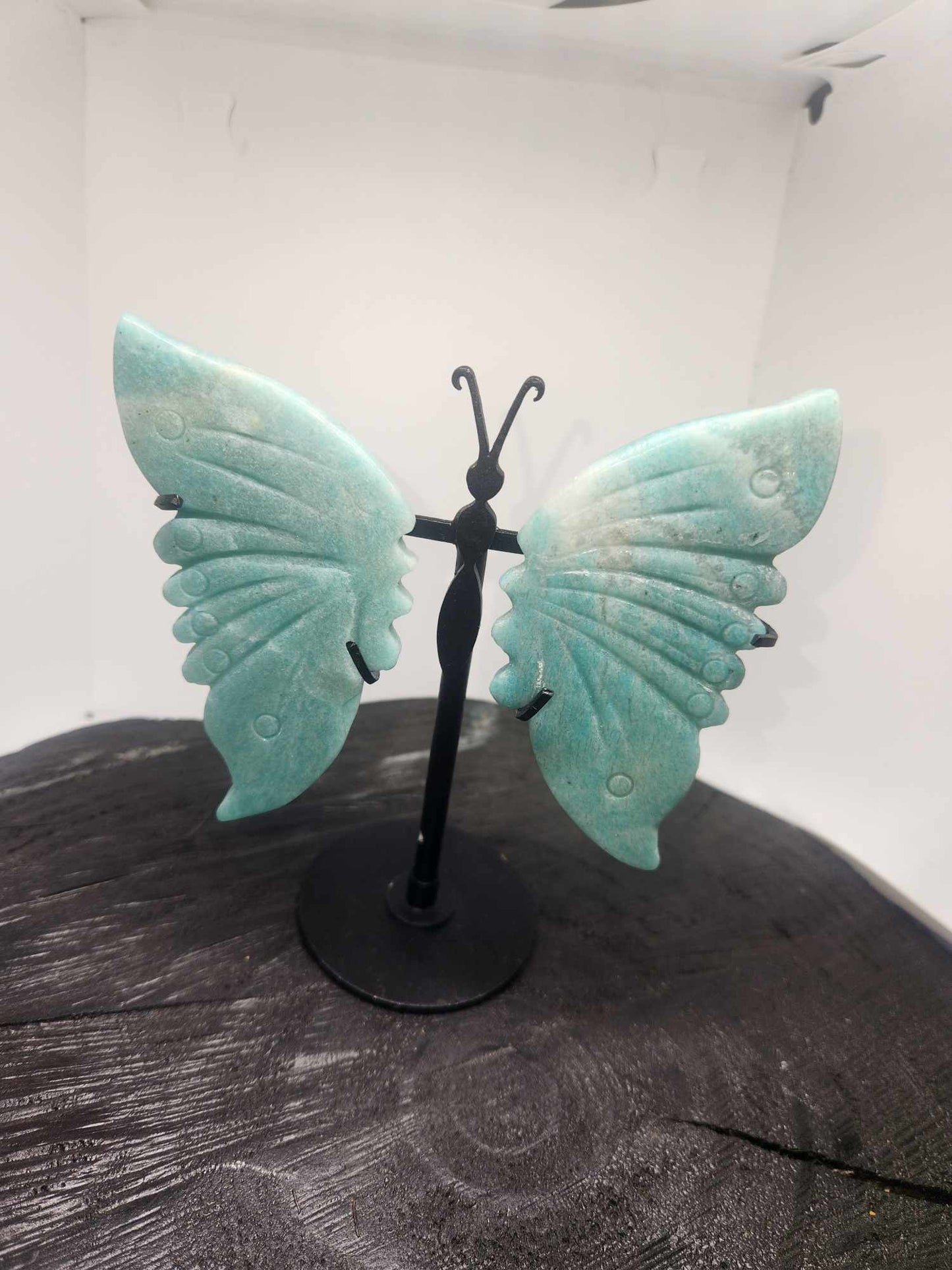 Butterfly Wings on stand