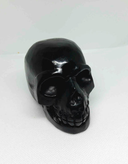 Shungite Skull