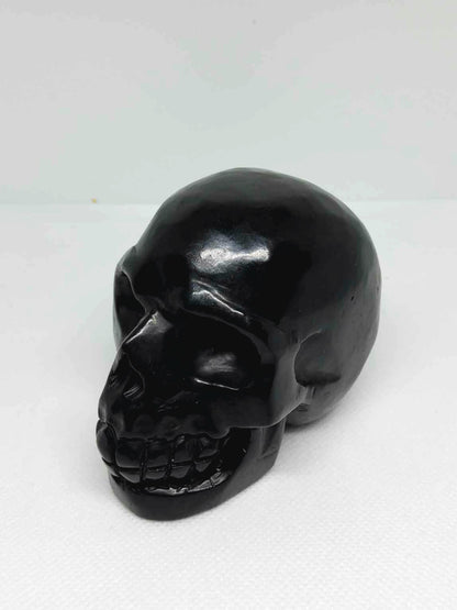 Shungite Skull