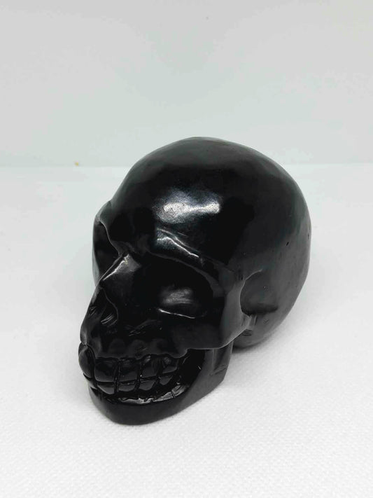 Shungite Skull
